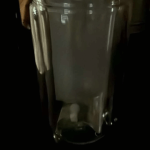 16 ounce snow globe tumbler